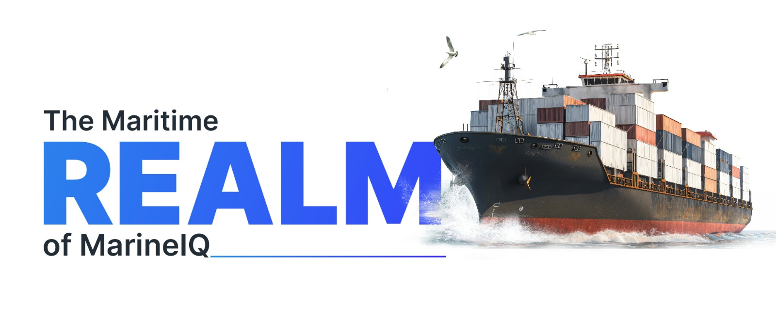 WhatsApp Image 2024-09-15 at 14.40.31